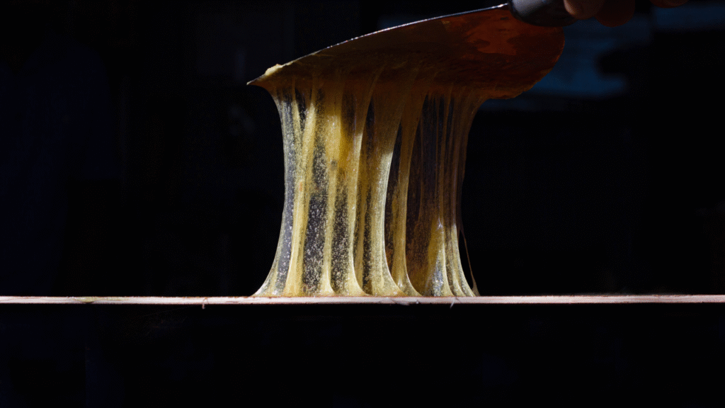 ゴムのりの近接