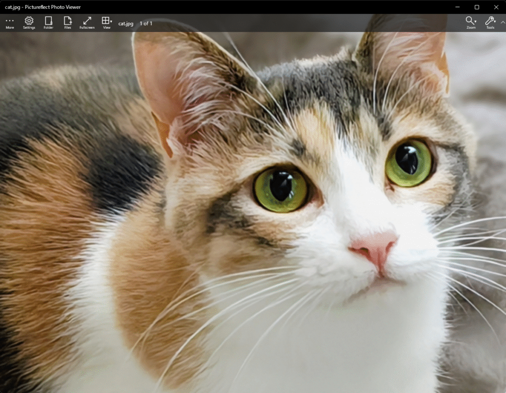 Pictureflect Photo Viewer