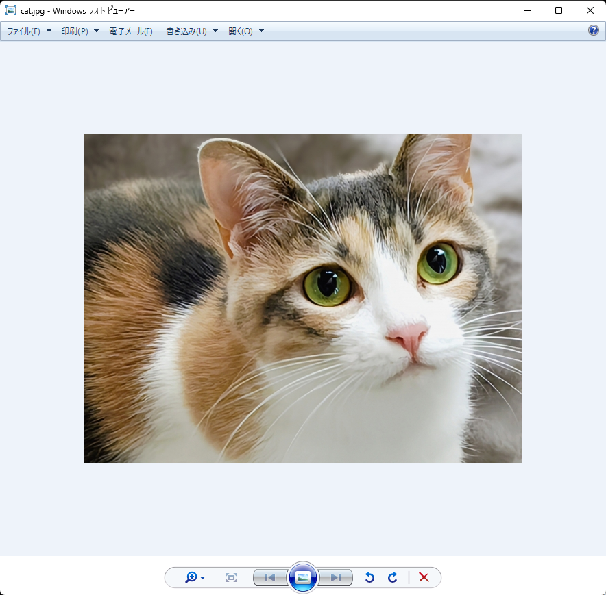 Windowsのフォトビューアーの代わりとなるアプリ8選